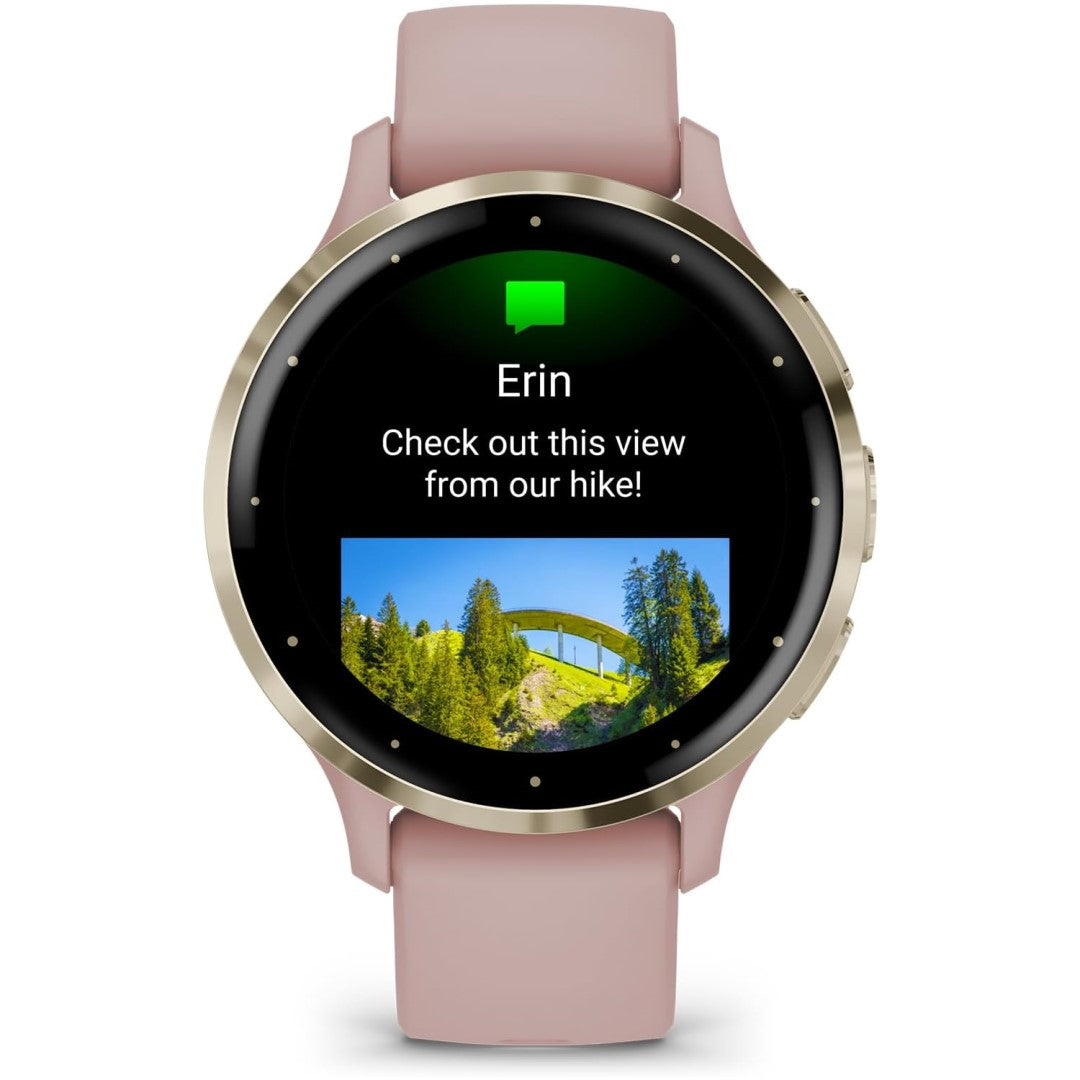 Venu 3S - Soft Gold Stainless Steel Bezel with Dust Rose Case and Silicone Band